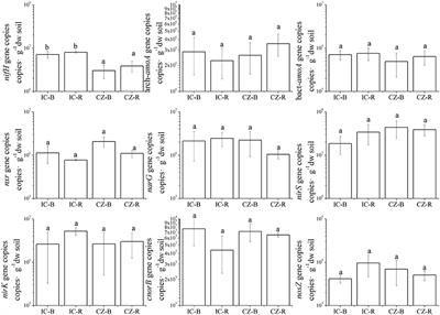 Plant-Mediated Changes in Soil N-Cycling Genes during Revegetation of Copper Mine Tailings